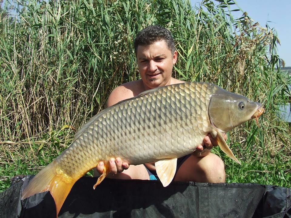 album pescuit 2015 - 120325619092267724460831805106020n1.jpg